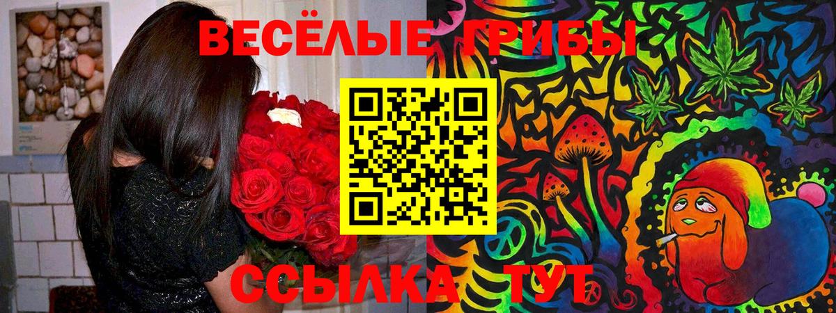 Псилоцибиновые грибы Psilocybine cubensis Канск