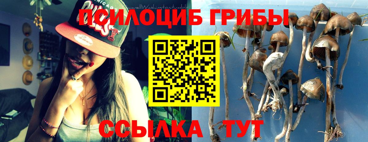 Галлюциногенные грибы GOLDEN TEACHER  Вход с VPN  Канск 